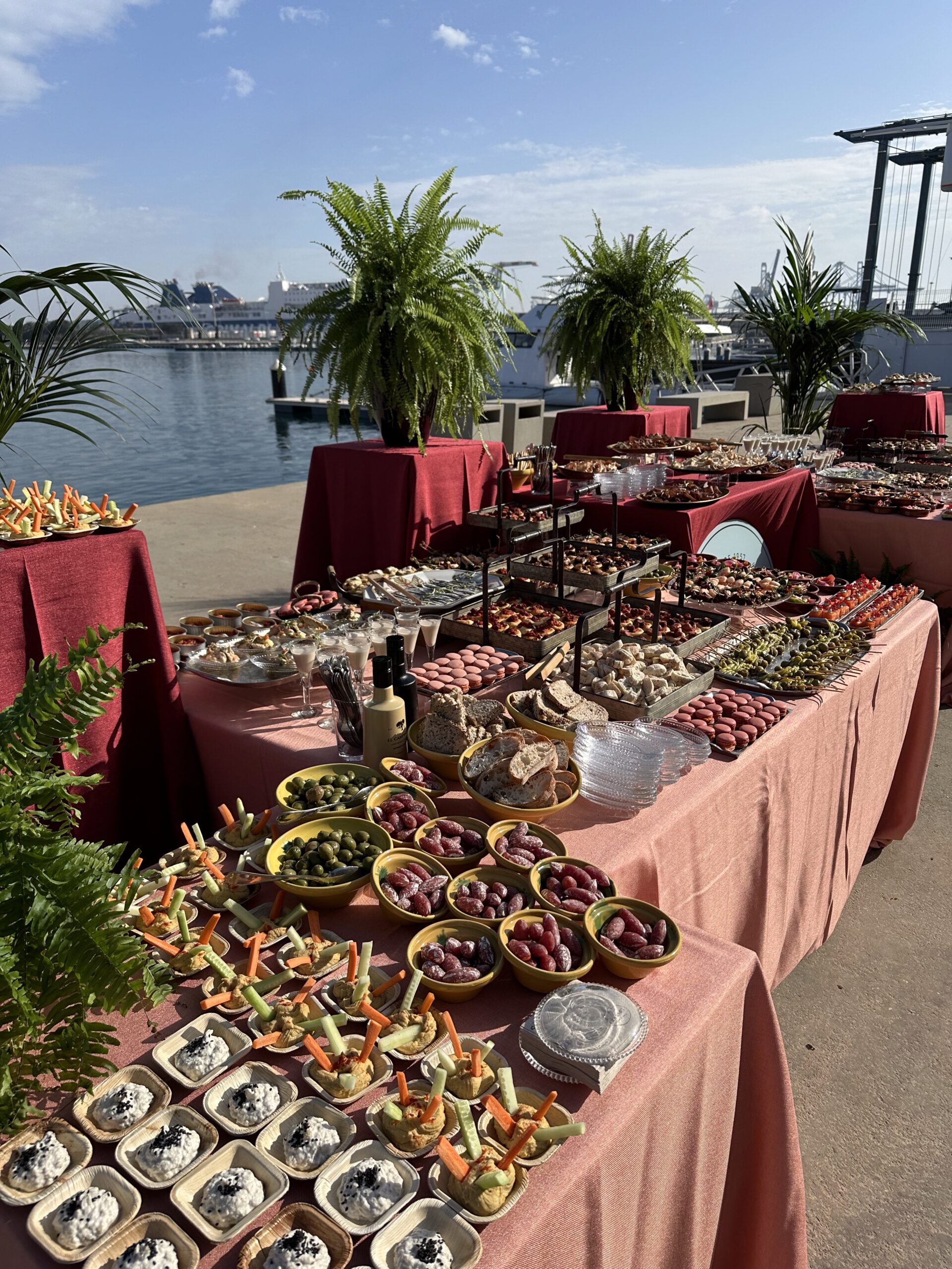 Catering para eventos sociales|Decoración para eventos culturales|Mesa de catering para eventos culturales|Catering para eventos culturales|Catering para lanzamientos|Catering para lanzamientos