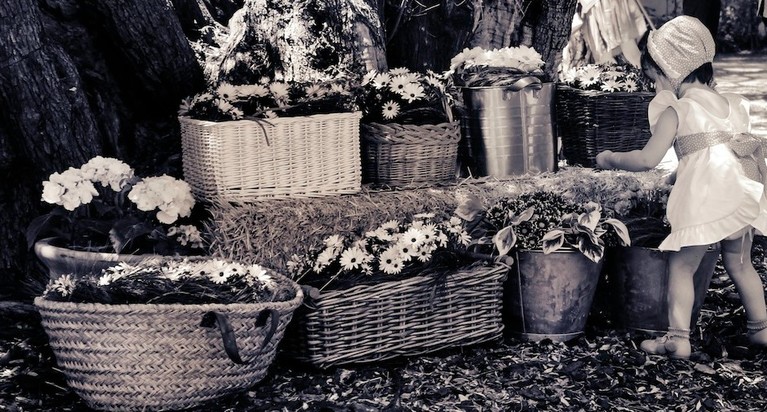 Información Gourmet Catering & Eventos