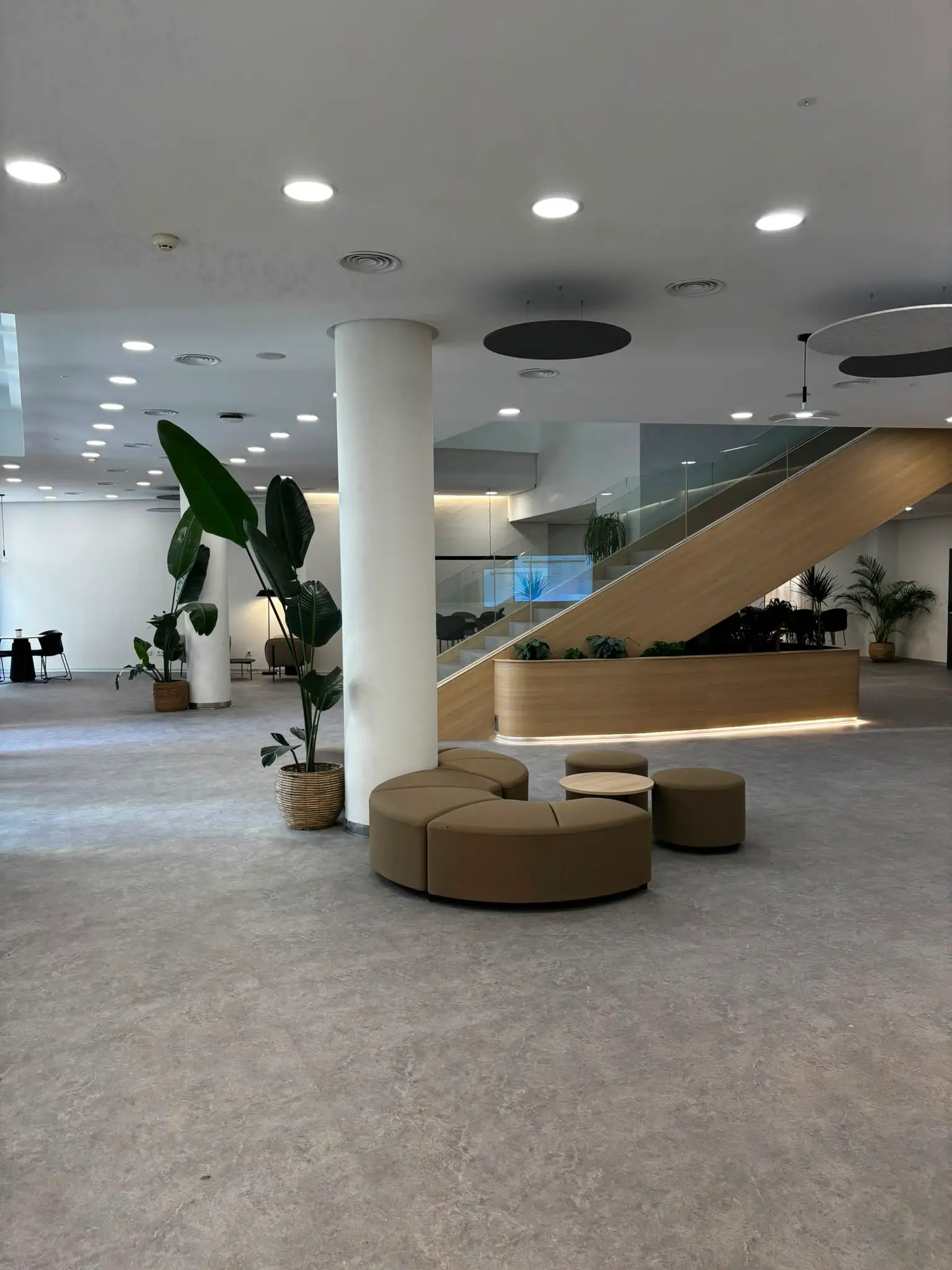Fotos nuevos hall ADEIT (6)